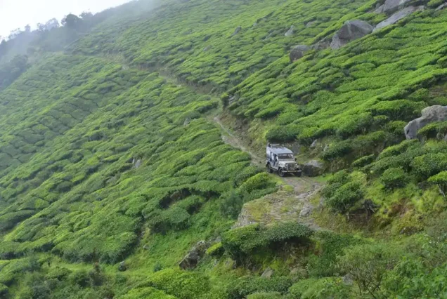 jeep safari image kolukkumalai tent stay