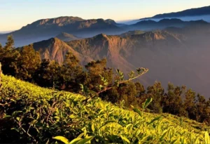 image of mountain with sunlight kolukkumalai tent stay