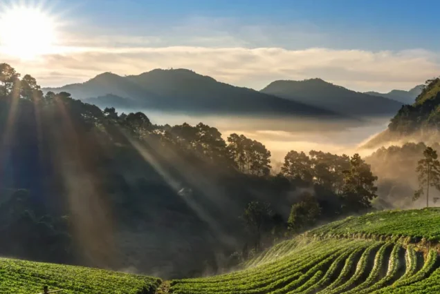 image of sunrise kolukkumalai tent stay